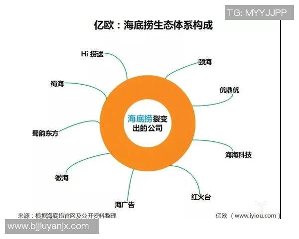 深圳排球队运营革新探索:从管理模式到市场推广的全方位变革之路